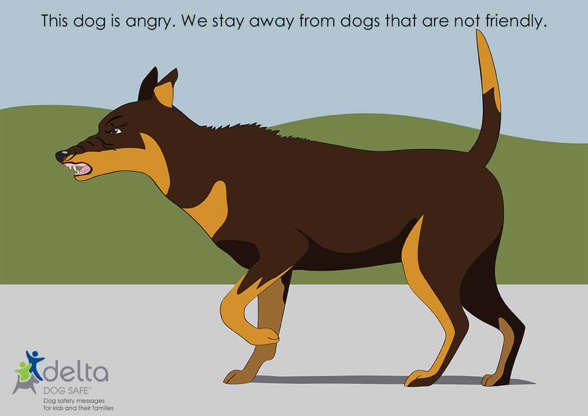 graphic of an angry dog