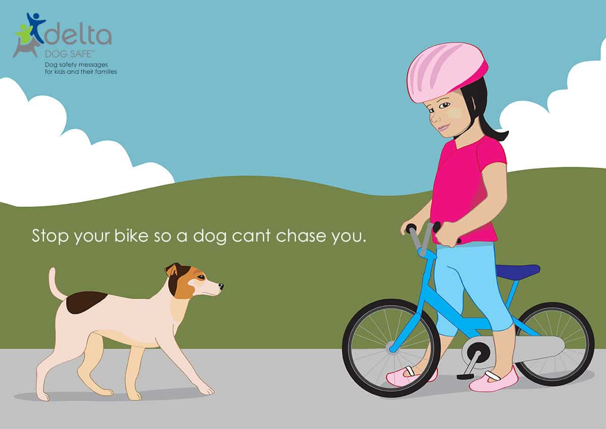 graphic of a girl stopped on her bike waiting for a dog